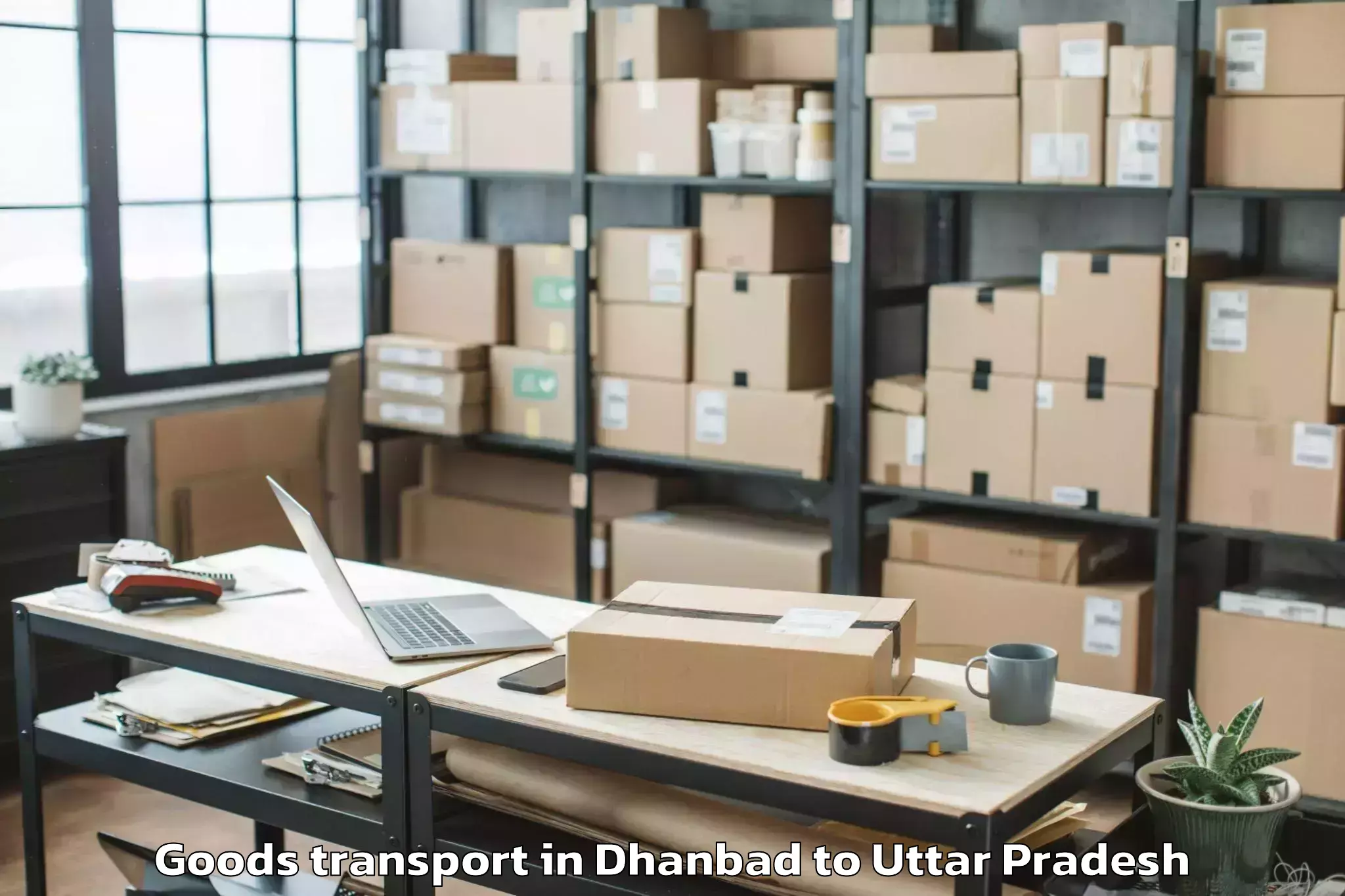 Easy Dhanbad to Ambuj Nagar Goods Transport Booking